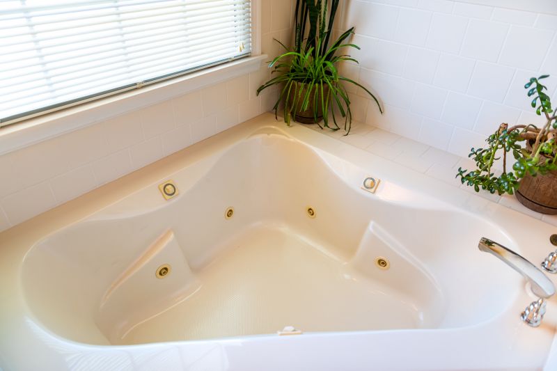 Top Bathtub Installation Companies in Lake Orion, MI